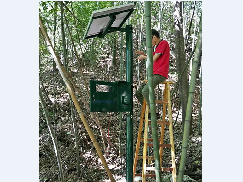 湖北武当山旅游景区负空气氧离子监测仪已成功使用
